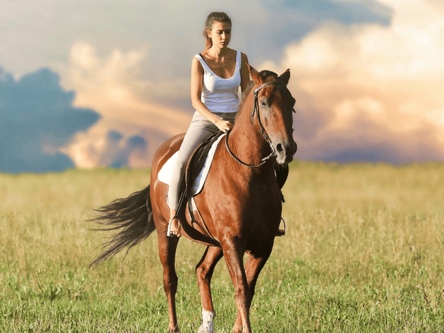 Horse Riding